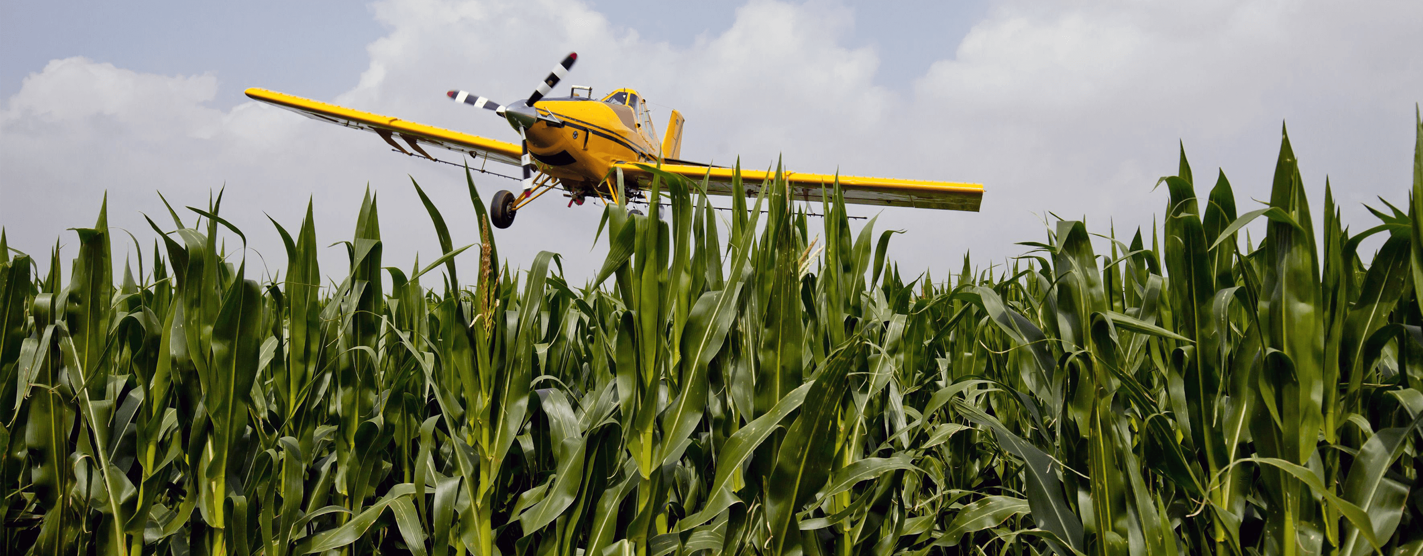 Crop Dusting Plane Flying Over Corn Field