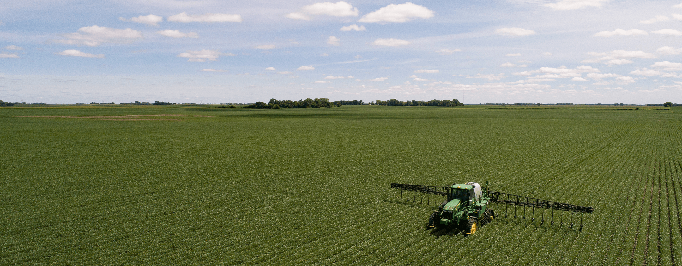 A Farm Field Of Alfalfa 