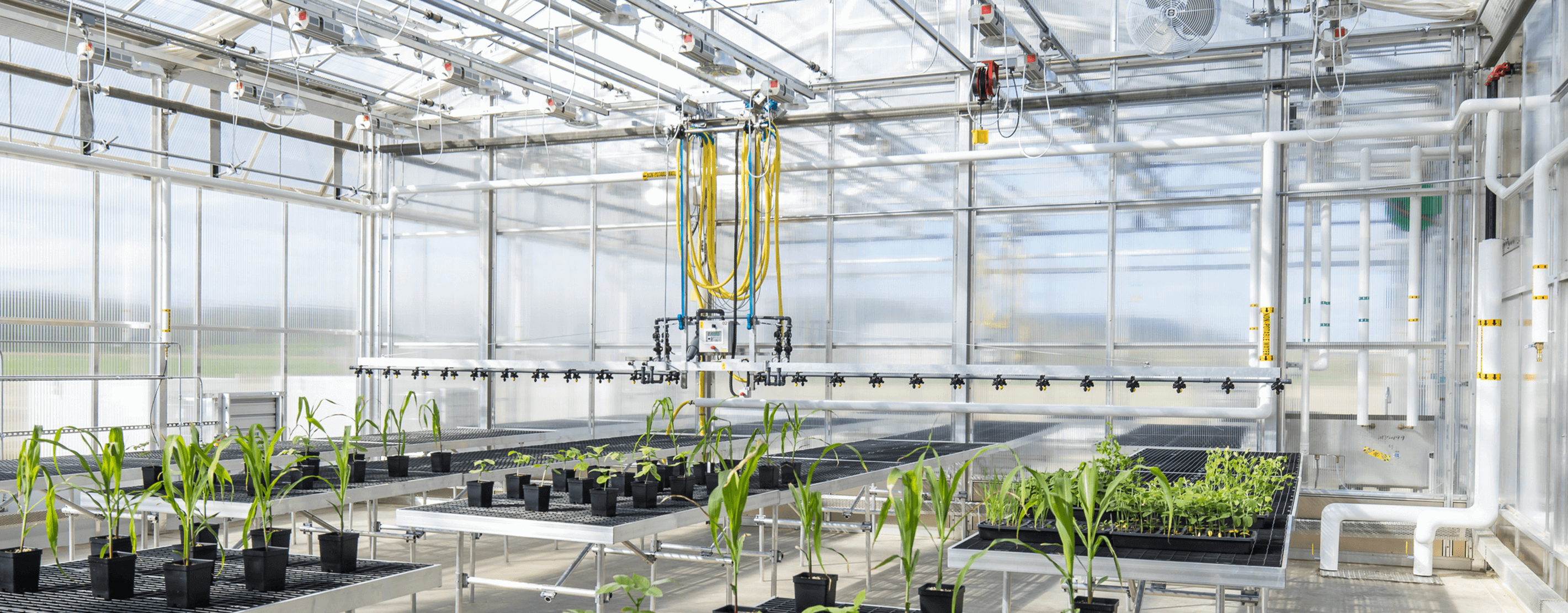 Inside A Land O'Lakes Research Facility Greenhouse
