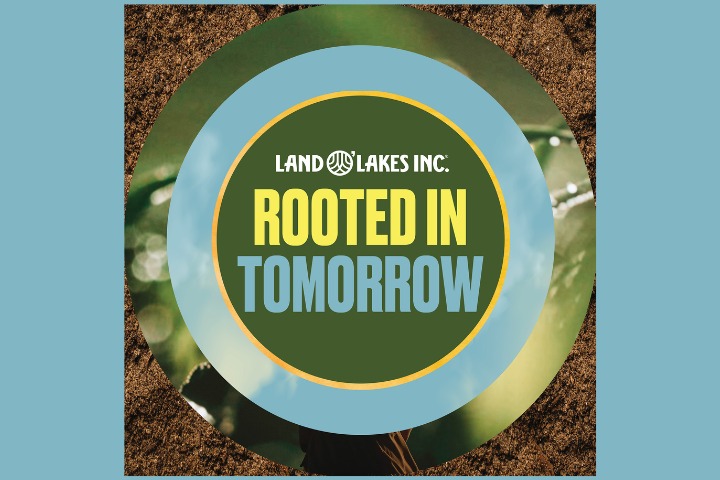 Rooted In Tomorrow podcast