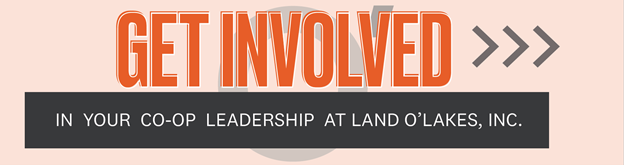 Orange background with orange words that say Get Involved in your Co-op leadership at Land O'Lakes Inc.