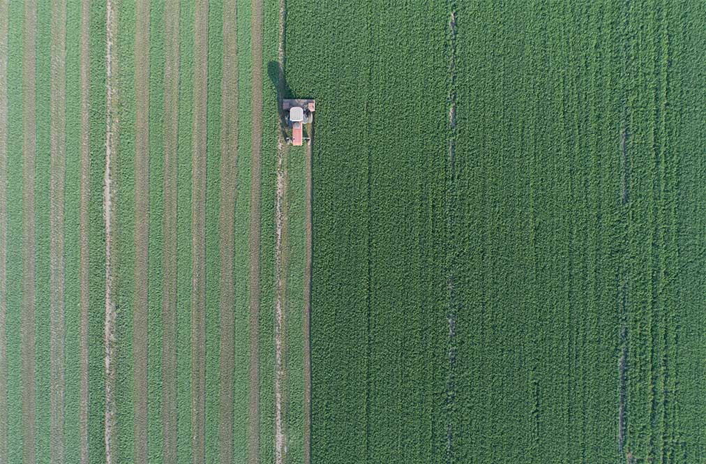 Aerial View Of A Field Being Harvested