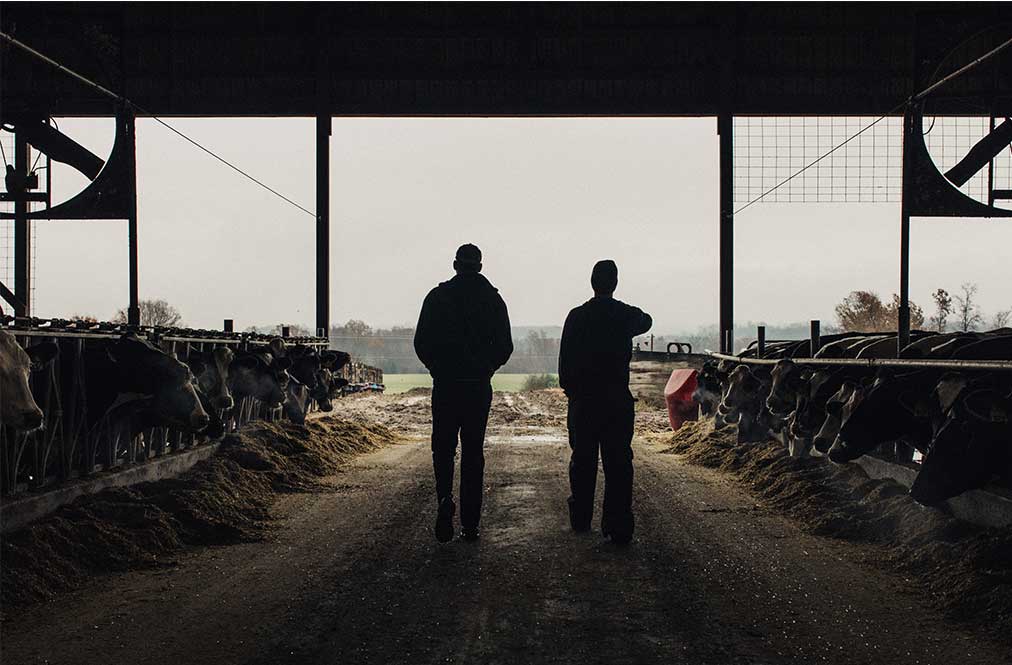 Two Farmers In A Dark Barn