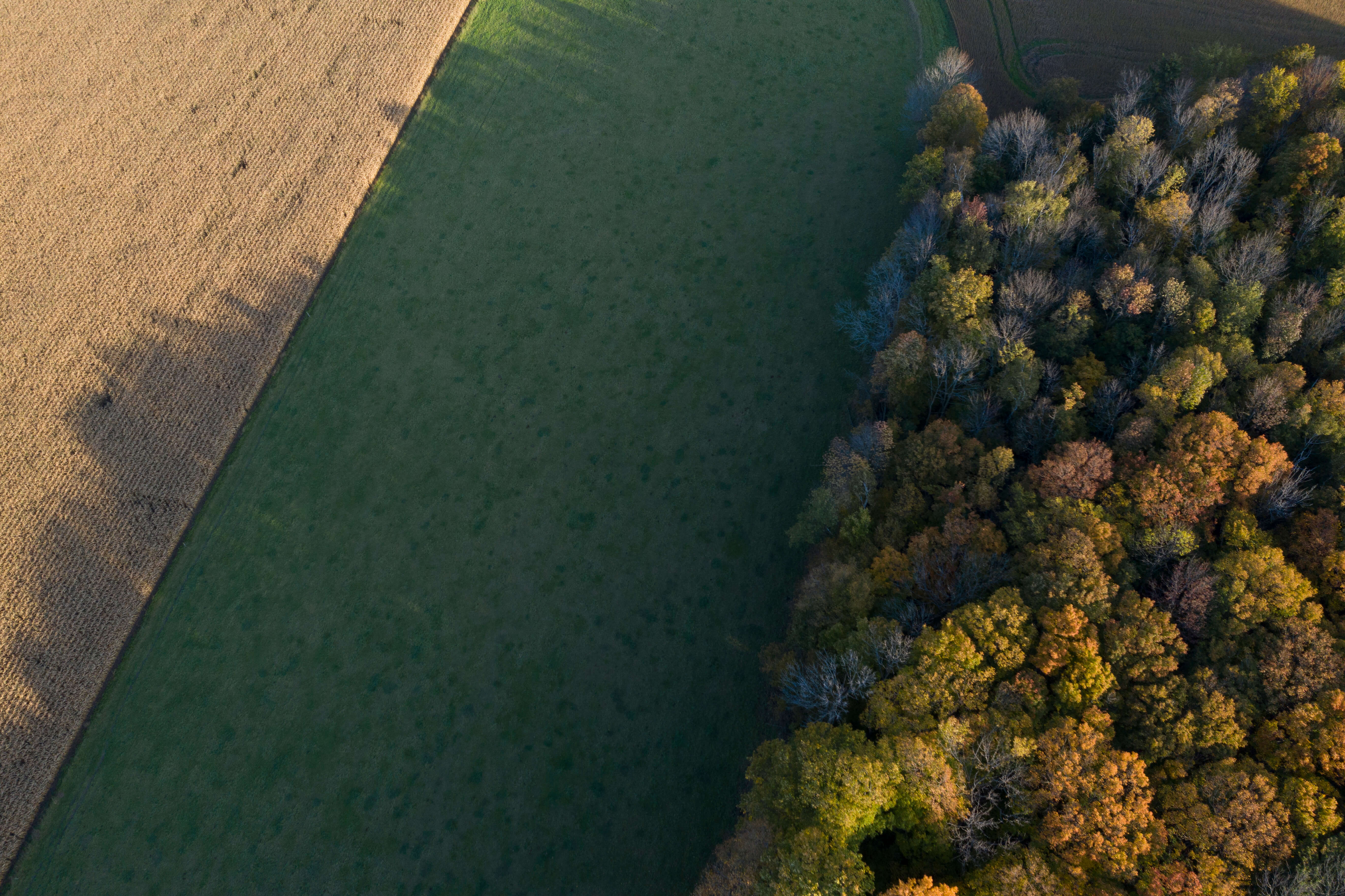 An Aerial View Of A Hay Field