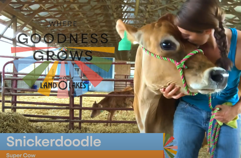 photo of Katie Dotterer-Pyle hugging her cow, Snickerdoodle