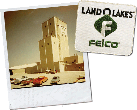 Land O'Lakes Falco Logo