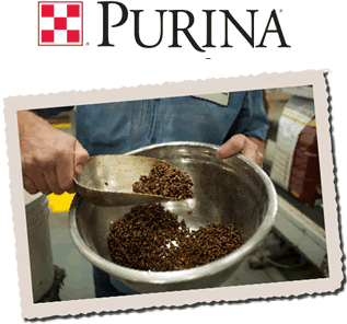Purina Checkerboard Logo With Feed