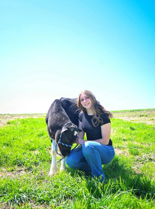 banner_img