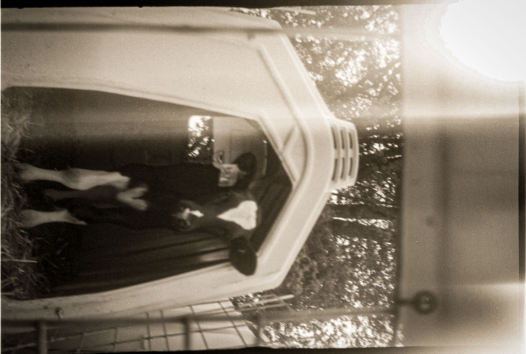 Description of photo 4