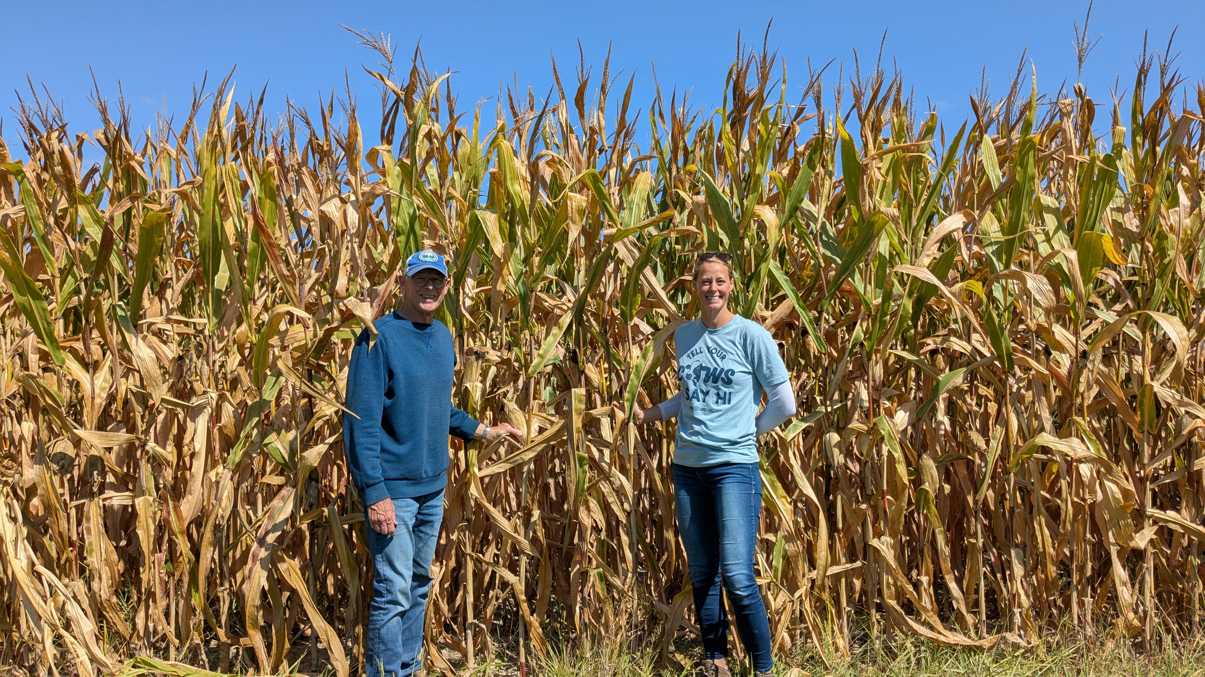 Two people stand in a corn field